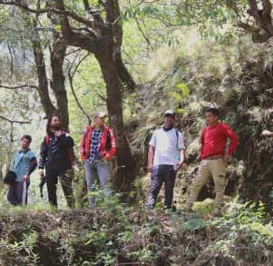 Outdoors - The Novello