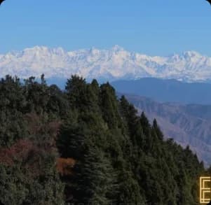 Outdoors - The Novello